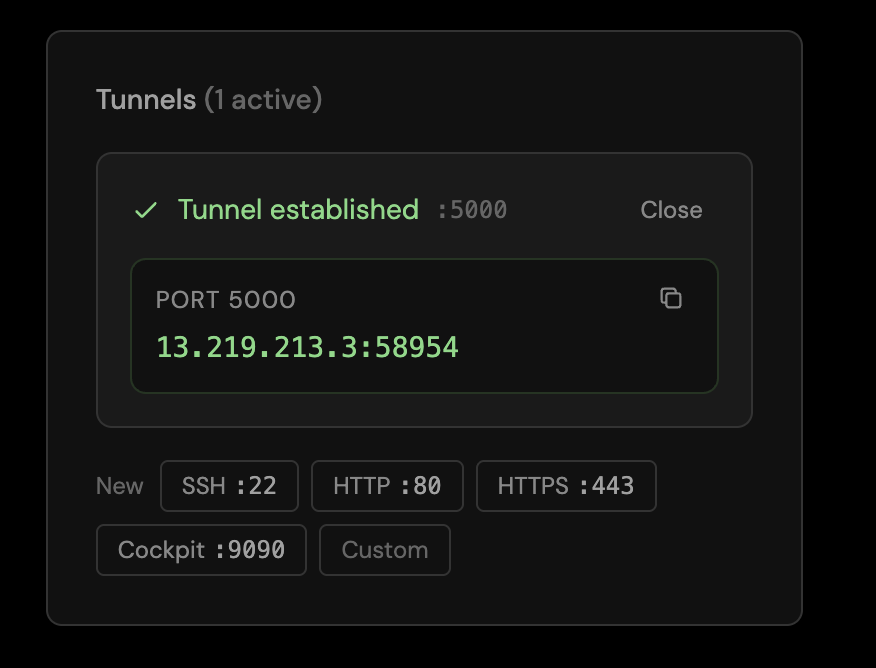 The Tunnels panel with a tunnel established on port 5000 and a copyable endpoint: 13.219.213.3:58954.