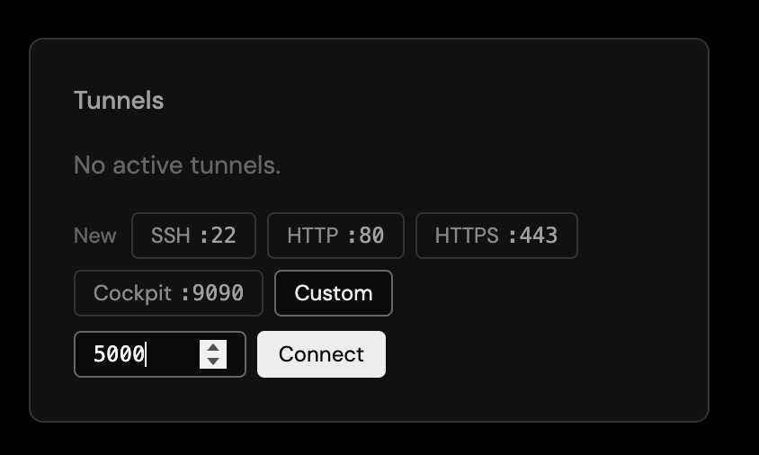 The Tunnels panel with Custom selected: a port field containing 5000 and a Connect button.
