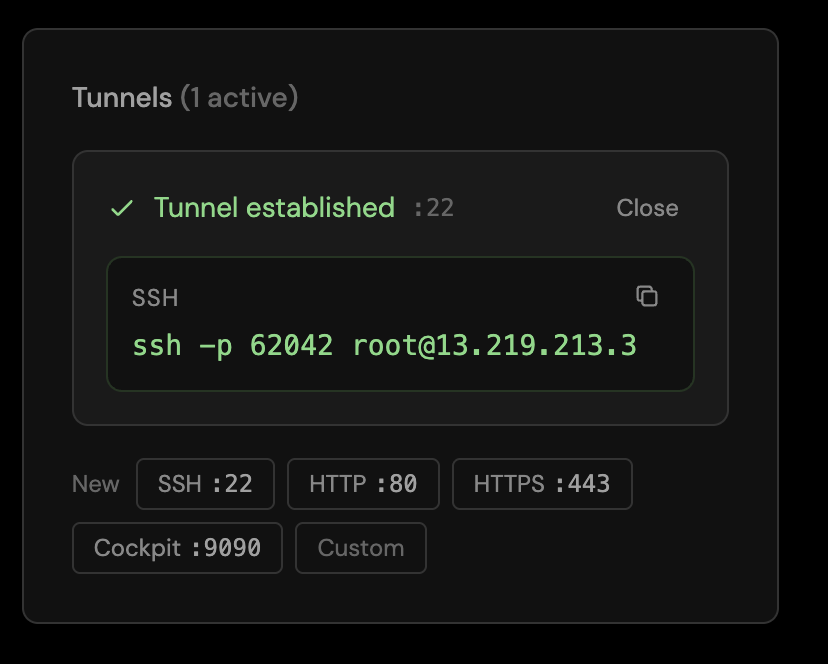 The Tunnels panel with a tunnel established on port 22 and a copyable SSH command: ssh -p 62042 root@13.219.213.3.