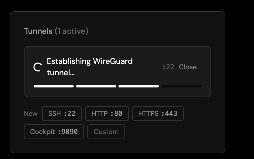 The Tunnels panel showing one active tunnel being set up: Establishing WireGuard tunnel on port 22, with a progress indicator and a Close action.